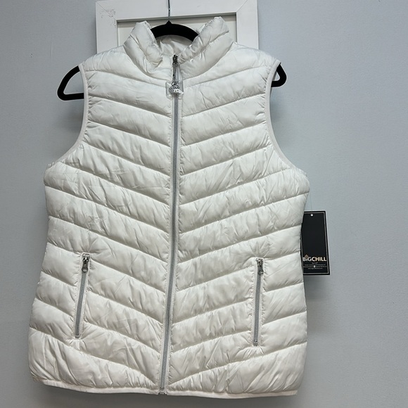Big Chill Puffer Vest - Picture 3 of 6